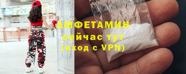 стаф Аркадак