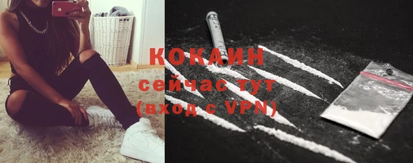 стаф Аркадак