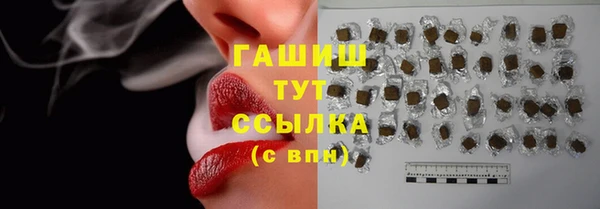 стаф Аркадак