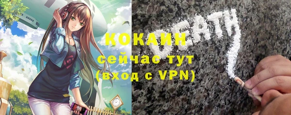 стаф Аркадак