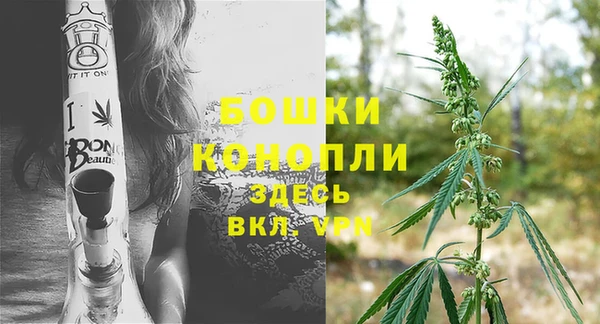 стаф Аркадак