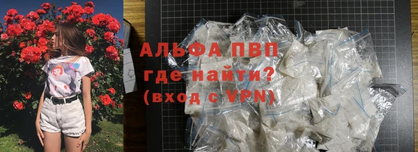 стаф Аркадак