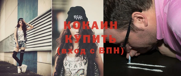 стаф Аркадак