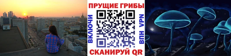 Псилоцибиновые грибы Cubensis Первомайск