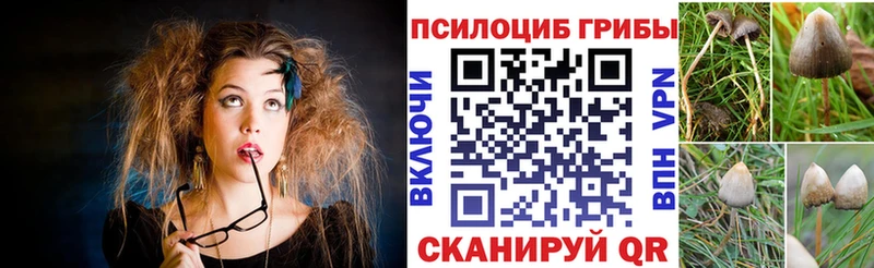 Псилоцибиновые грибы прущие грибы  цена наркотик  Первомайск 